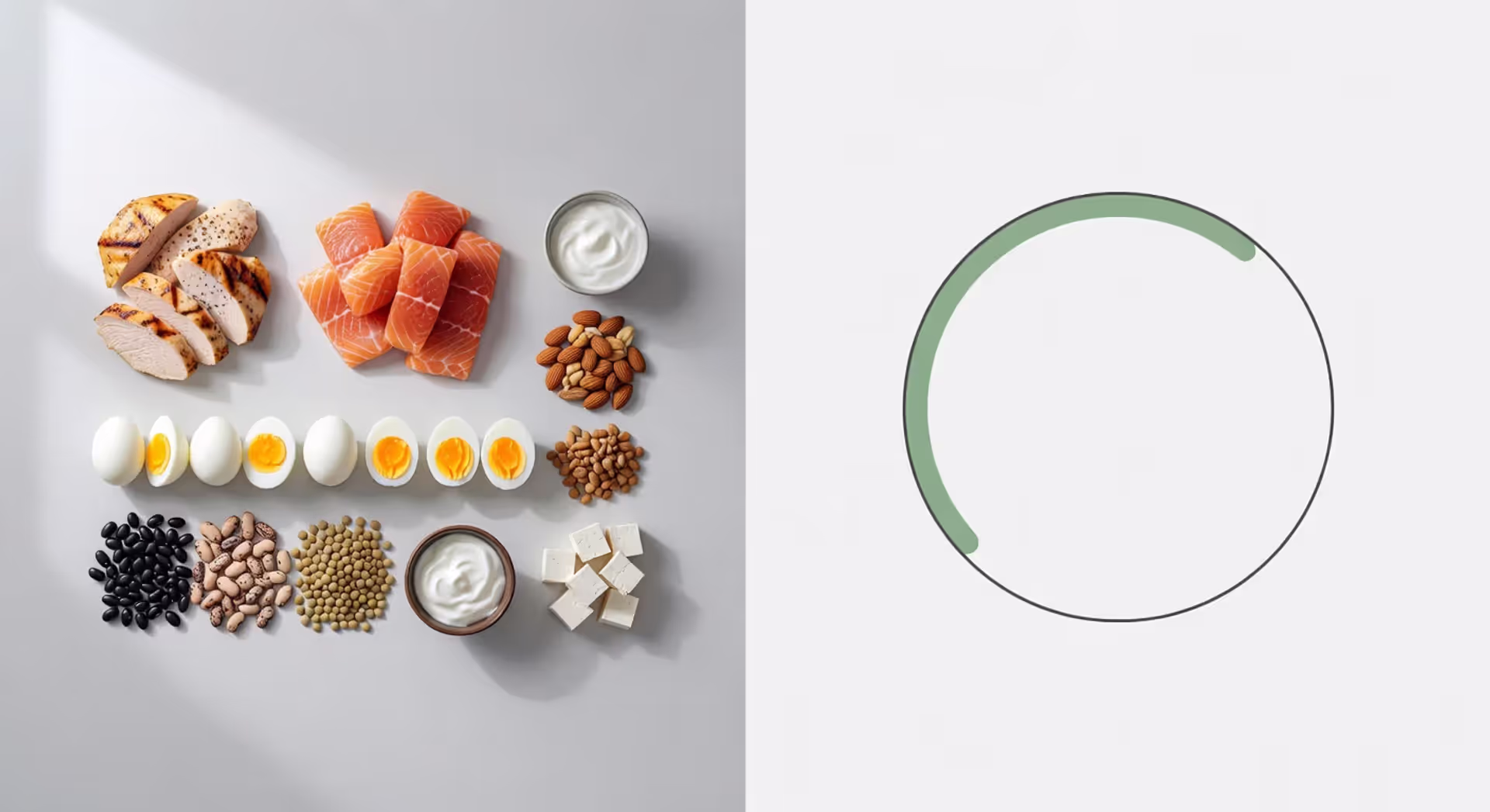 What Percent of Calories Should Come from Protein