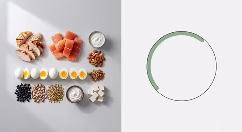 What Percent of Calories Should Come from Protein