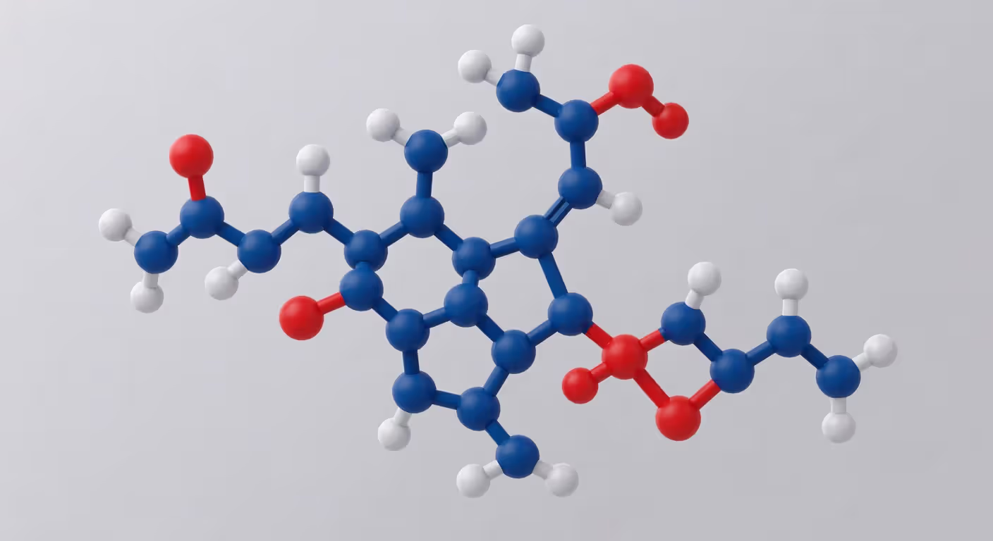 Molecular structure of creatine showing its amino acid composition