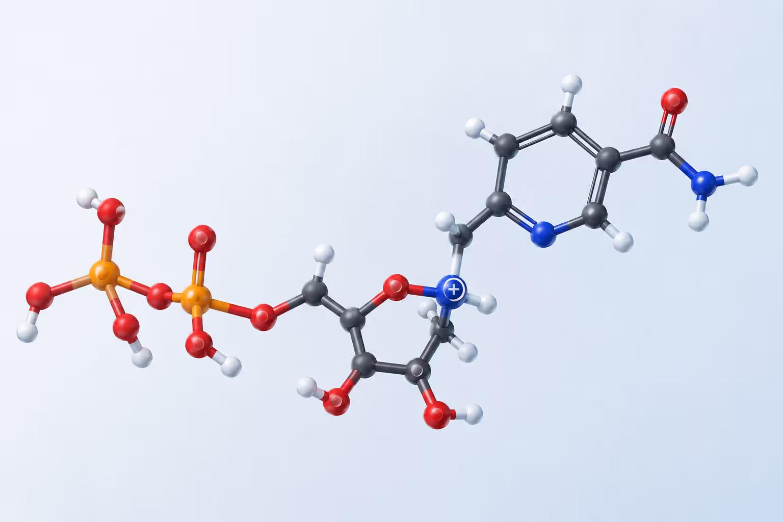 Molecular structure of nicotinamide mononucleotide (NMN)